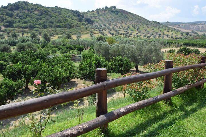 Il Casolare Villa Borgia ภายนอก รูปภาพ